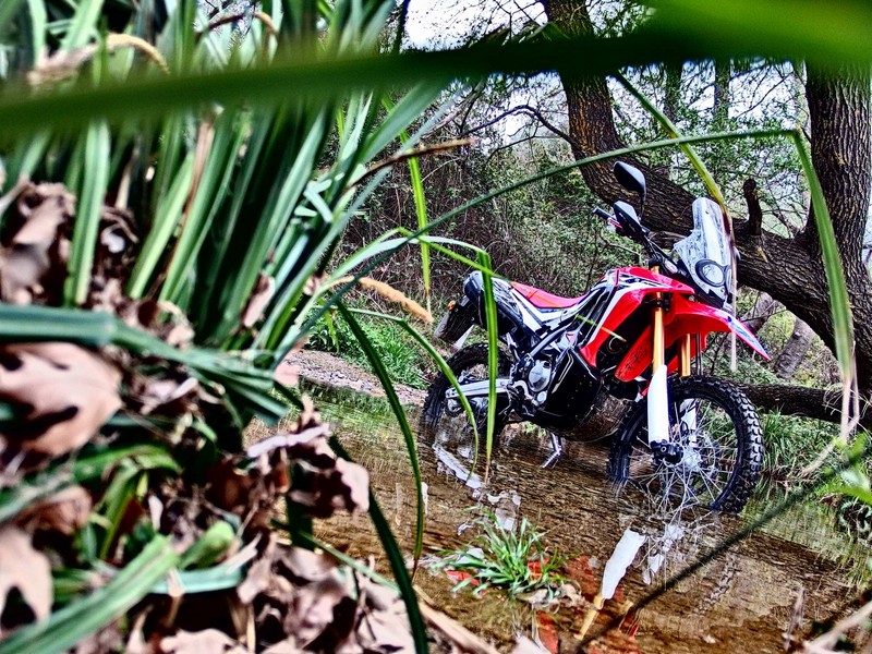limni marathona honda crf 250 rally 7