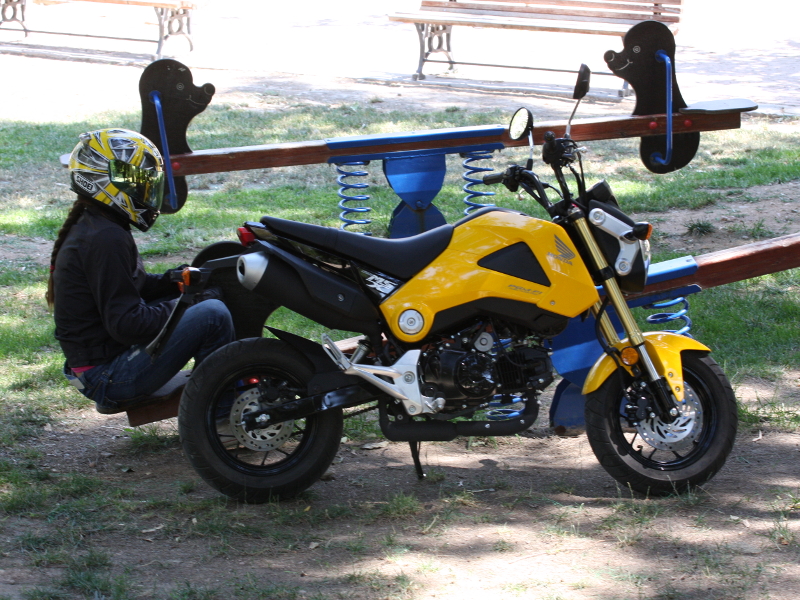 honda msx 125 test cityrider