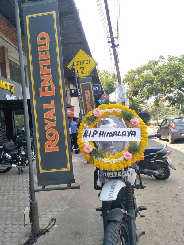 rip himalayan 1