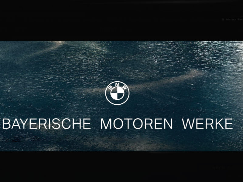 bmw bW logo