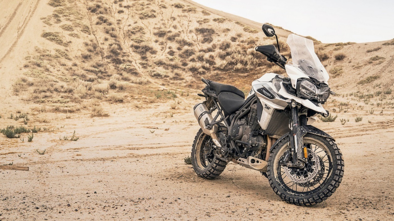 tiger 1200