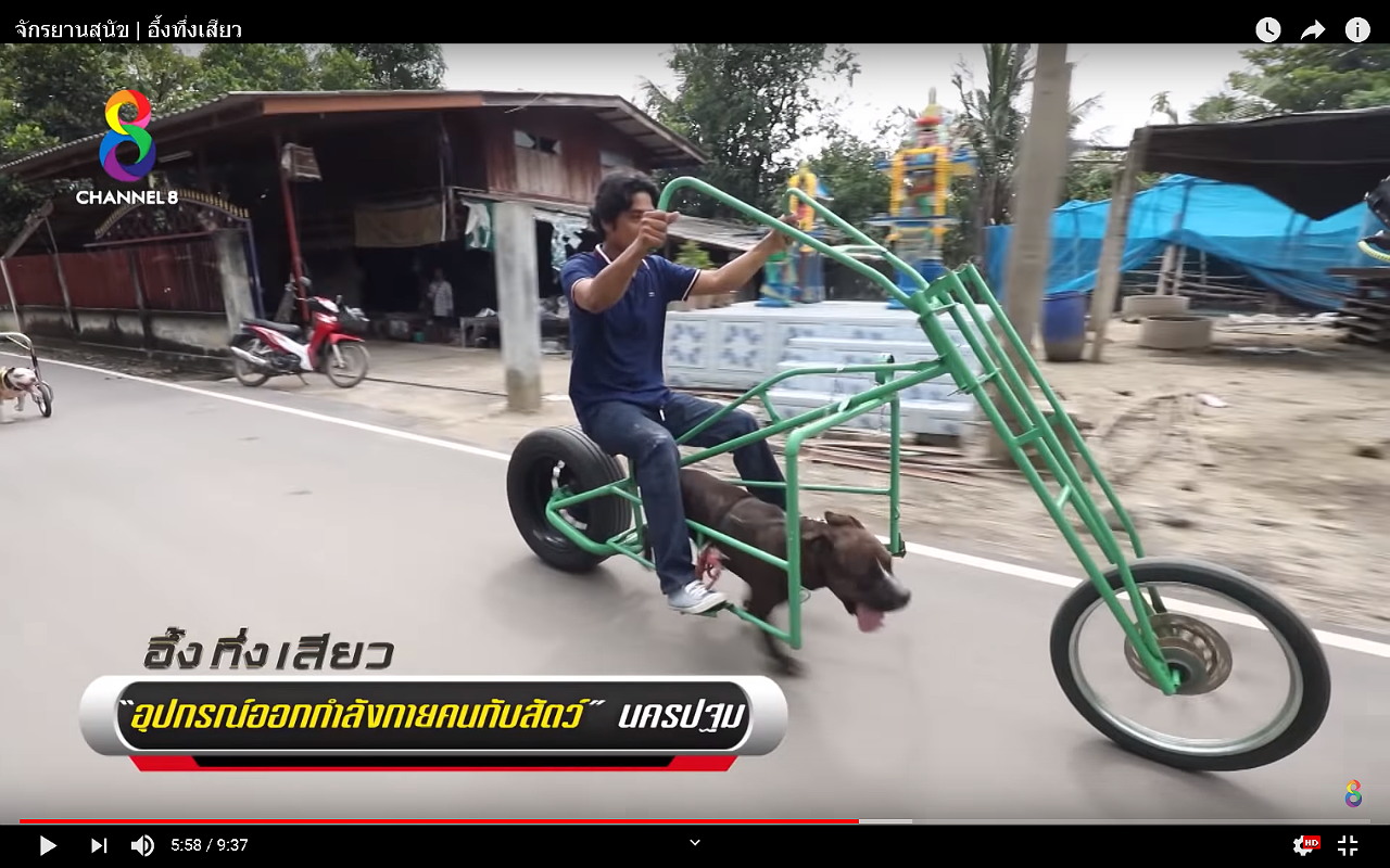 skilosikletes