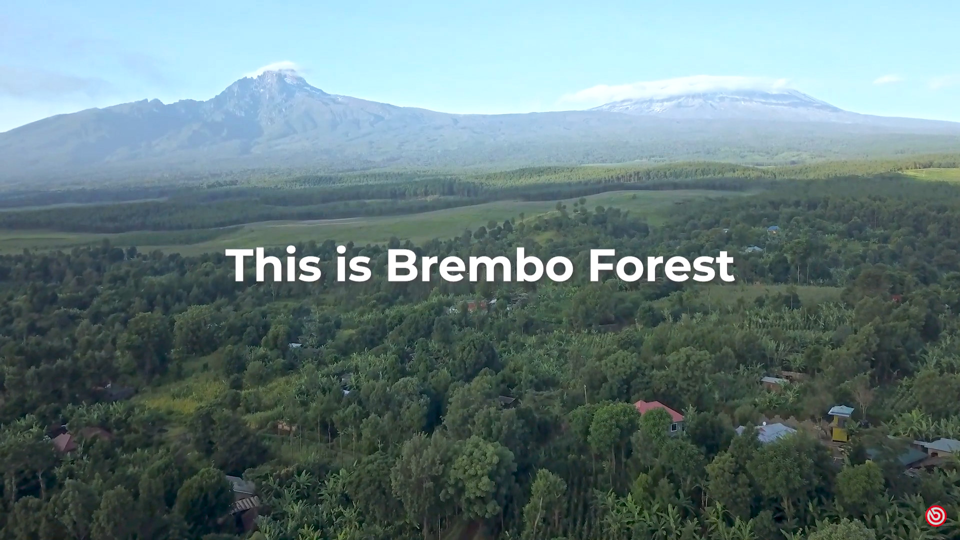 brembo forest