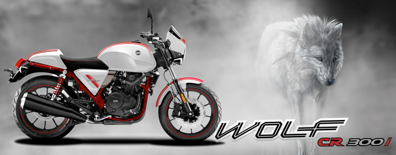 sym wolf cr 300 4